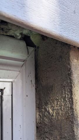 The Set Up & Schedule