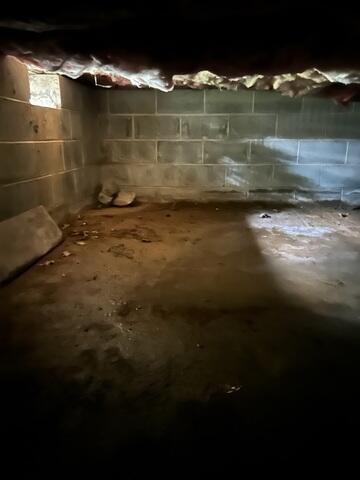 Damp Crawl Space