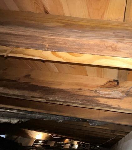 Mold Treated with Soda Blasting