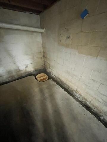 TripleSafe Sump Pump