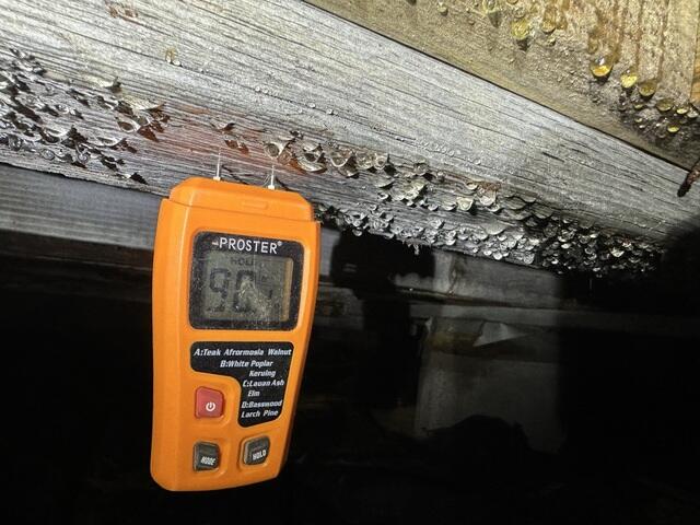 Moisture in the Crawl Space