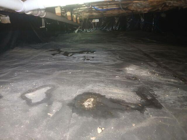 Standing Water in Crawl Space