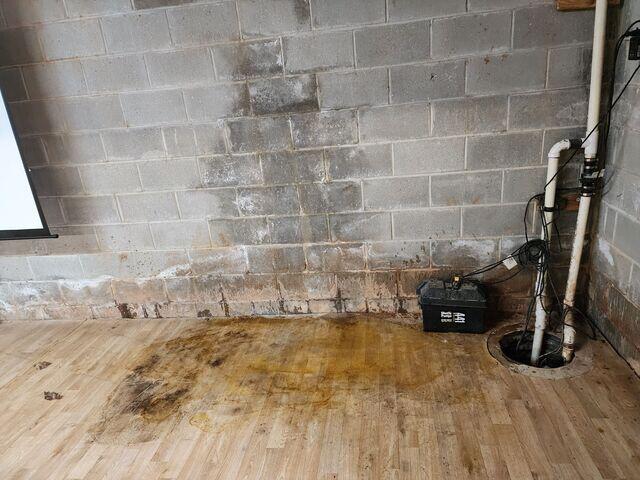Wet Basement