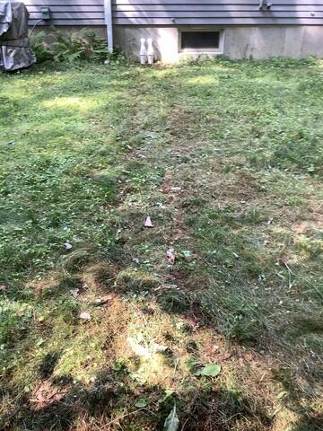 Discharge Line Burial