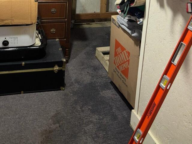Soaked Basement Carpet from Water Intrusion
