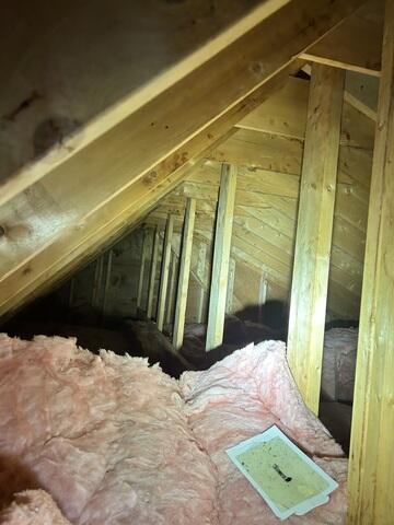 Old Fiberglass Insulation