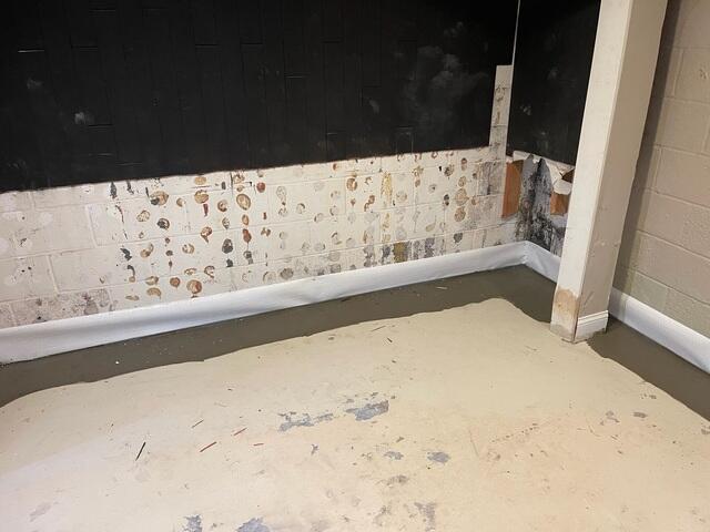 WaterGuard Drainage System