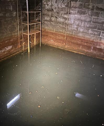 Yikes! Standing Water in the Basement
