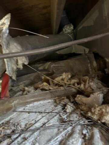 Crawl Space During Inspection