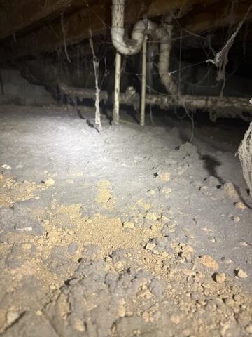 Dirty, Nasty Crawl Space