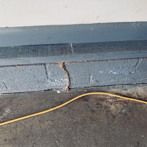 Mud Tubes from the Termites