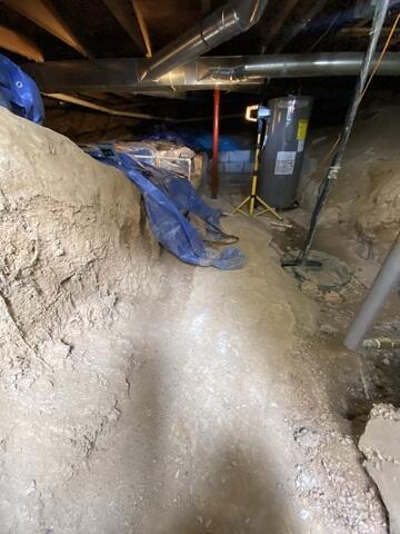 Dirty and Musty Crawl Space
