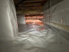 Protecting Your Investment