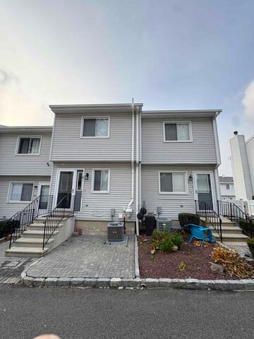 Site Condition Documentation - Trumbull Consultation