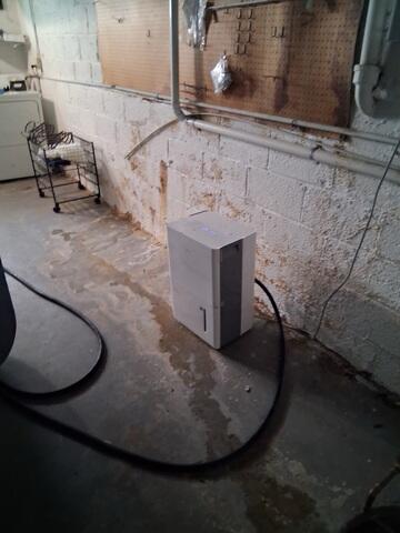 Dehumidifier Couldn't Keep Up