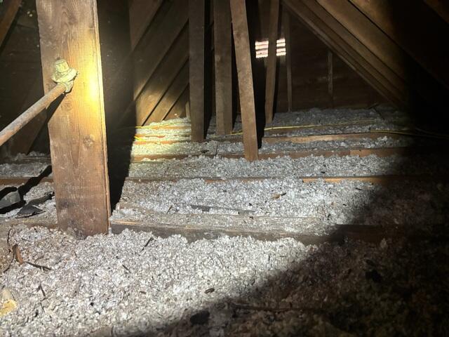 Century Old Cellulose in a Century Home