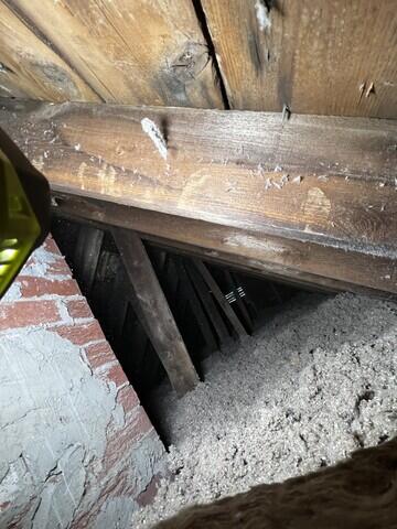 Fluffy and Dense TruSoft