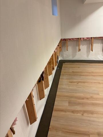 WaterGuard Drainage System