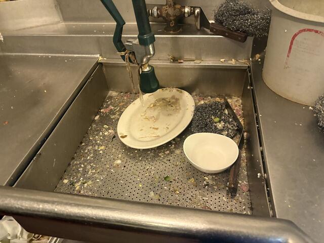 Fruit Flies Will Be Gone