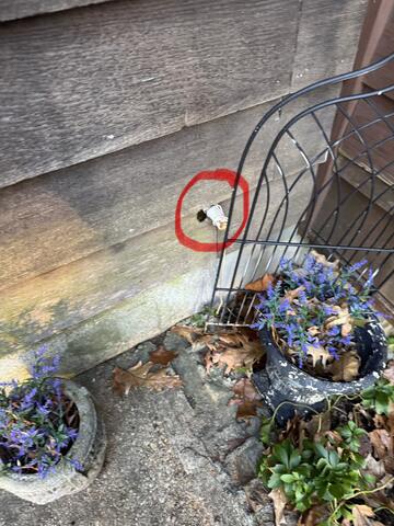 Not Too small for Mice