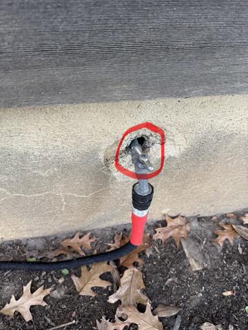 Set Up Our Bait Stations