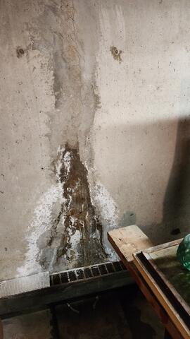 Cracked and Damaged Walls