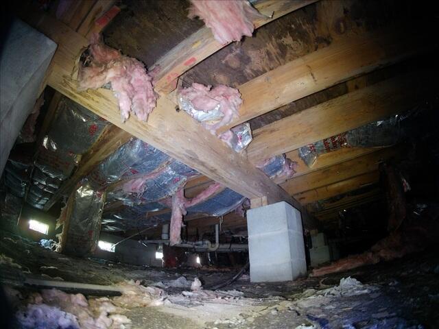 Crawl Space Inspection