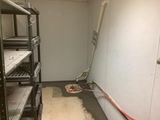 TripleSafe Sump Pump System