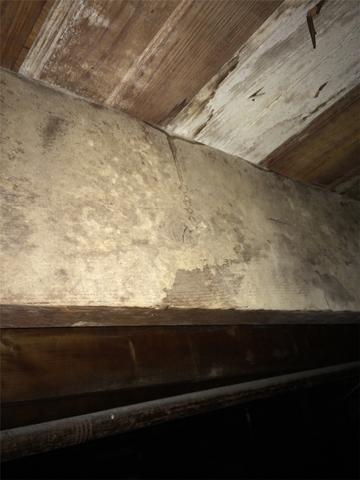 Joists collected moisture