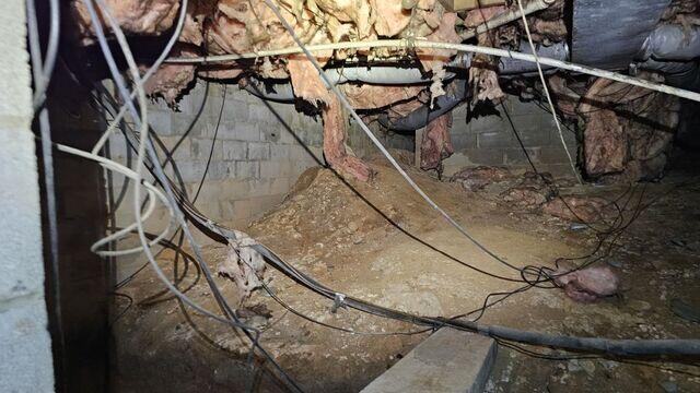 Severe Crawl Space Damage & Failing Insulation - Raleigh, NC