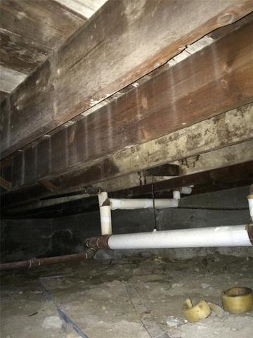 Joists and Pipes exposed to moisture