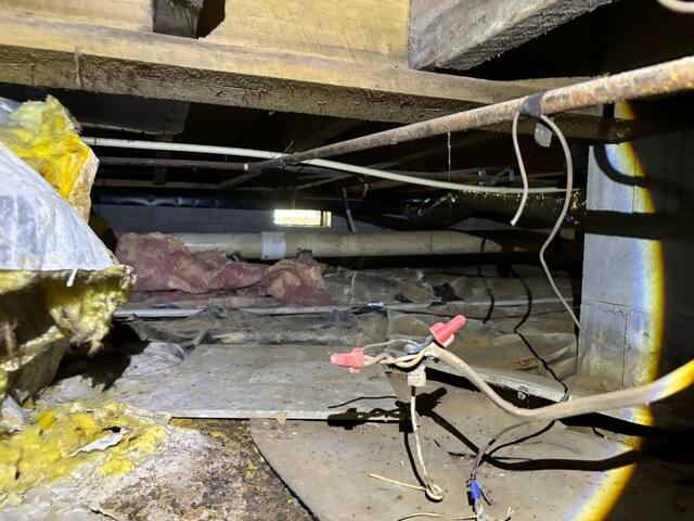 Crawl Space During Inspection
