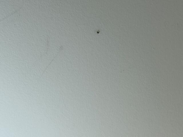 Treat Again Until They're Gone