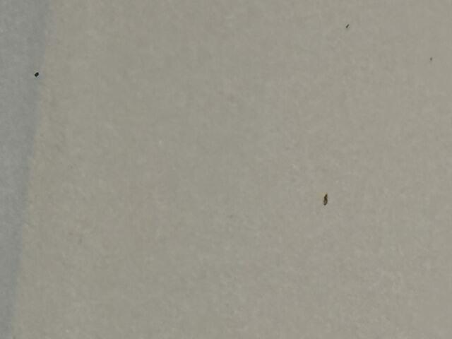 Once Things Were Removed