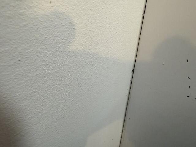 Crawling in the Corners