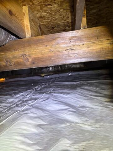Crawl Space Sealing