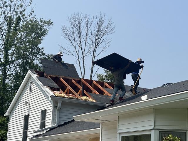 Bad Plywood Is Removed