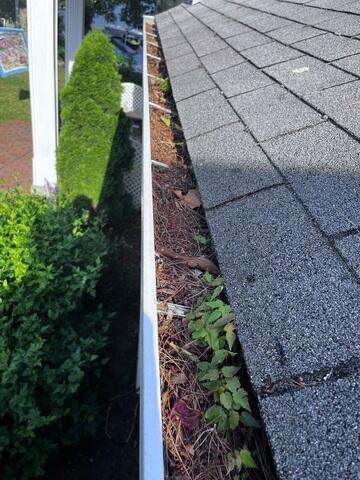 Before Photo of Gutters