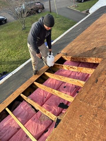 Bad Plywood Is Removed