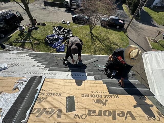 The New Shingles Go On