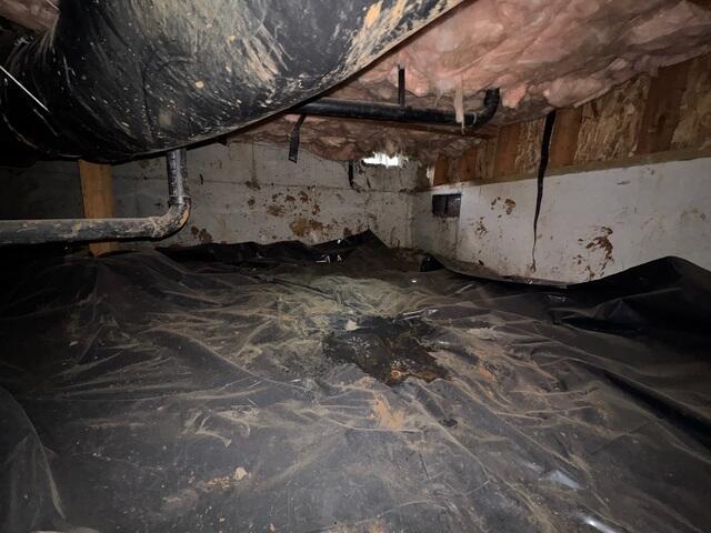 Filthy Vapor Barrier and Open Vents