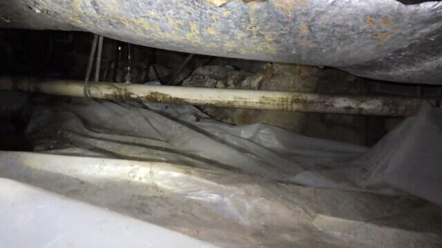 Wet and Moldy Crawl Space