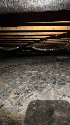 Dark, Wet Crawl Space