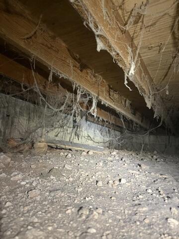 A Nasty Crawl Space Causing Odors