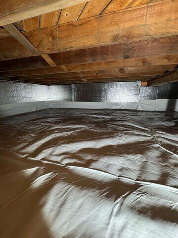 CleanSpace and SilverGlo