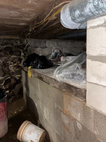 Damp Crawl Space