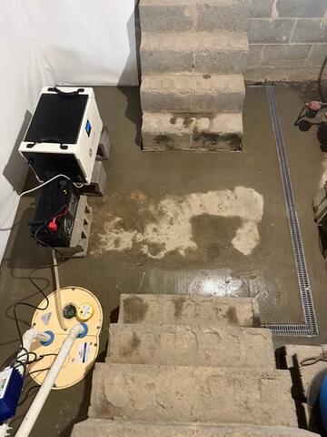 TripleSafe Sump Pump