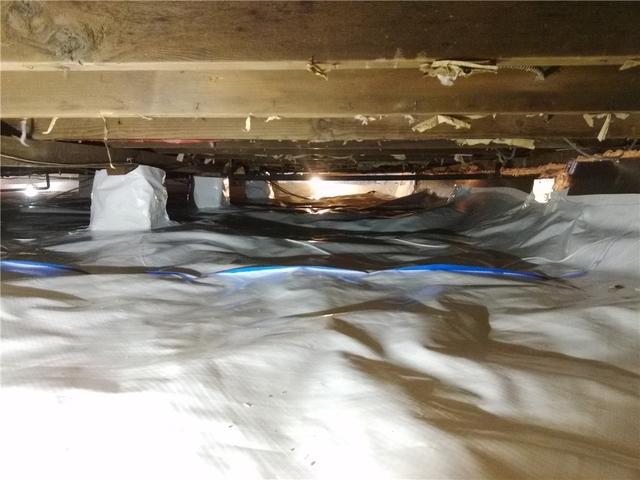 Durable Crawl Space Liner