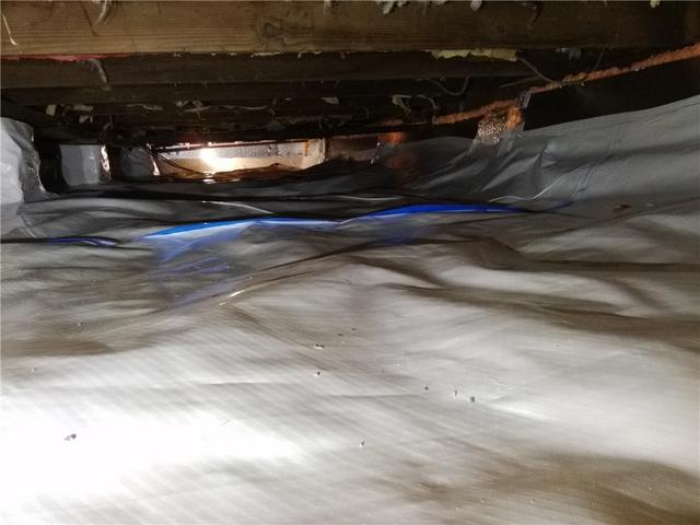 Crawl Space Wood Rot Protection