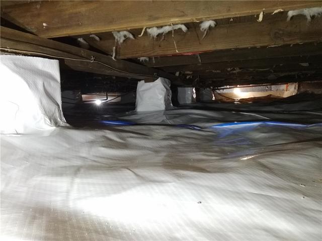CleanSpace Keeps Crawl Spaces Safe